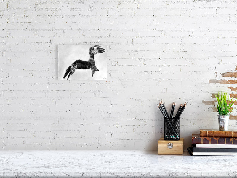 Graphite drawing of a red kite mid flight over Scottish Highlands, wings arched as if soaring, looking left. Fine art giclée print from the Highland Echoes Collection capturing motion, grace and quiet beauty.
home-accessories wall-art prints nature-print poppies-print fine-art scottish-art unique-gift unique-art animal-lover