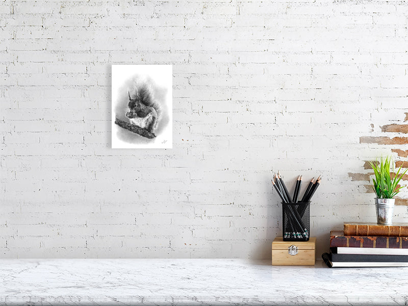 Hand-drawn graphite art of red squirrel on a tree nibbling a nut, fine art print inspured by the scottish highlands' woodland wildlife.

home-accessories wall-art prints nature-print poppies-print fine-art scottish-art unique-gift unique-art animal-lover
