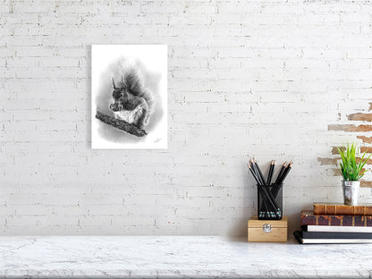 Hand-drawn graphite art of red squirrel on a tree nibbling a nut, fine art print inspured by the scottish highlands' woodland wildlife.

home-accessories wall-art prints nature-print poppies-print fine-art scottish-art unique-gift unique-art animal-lover